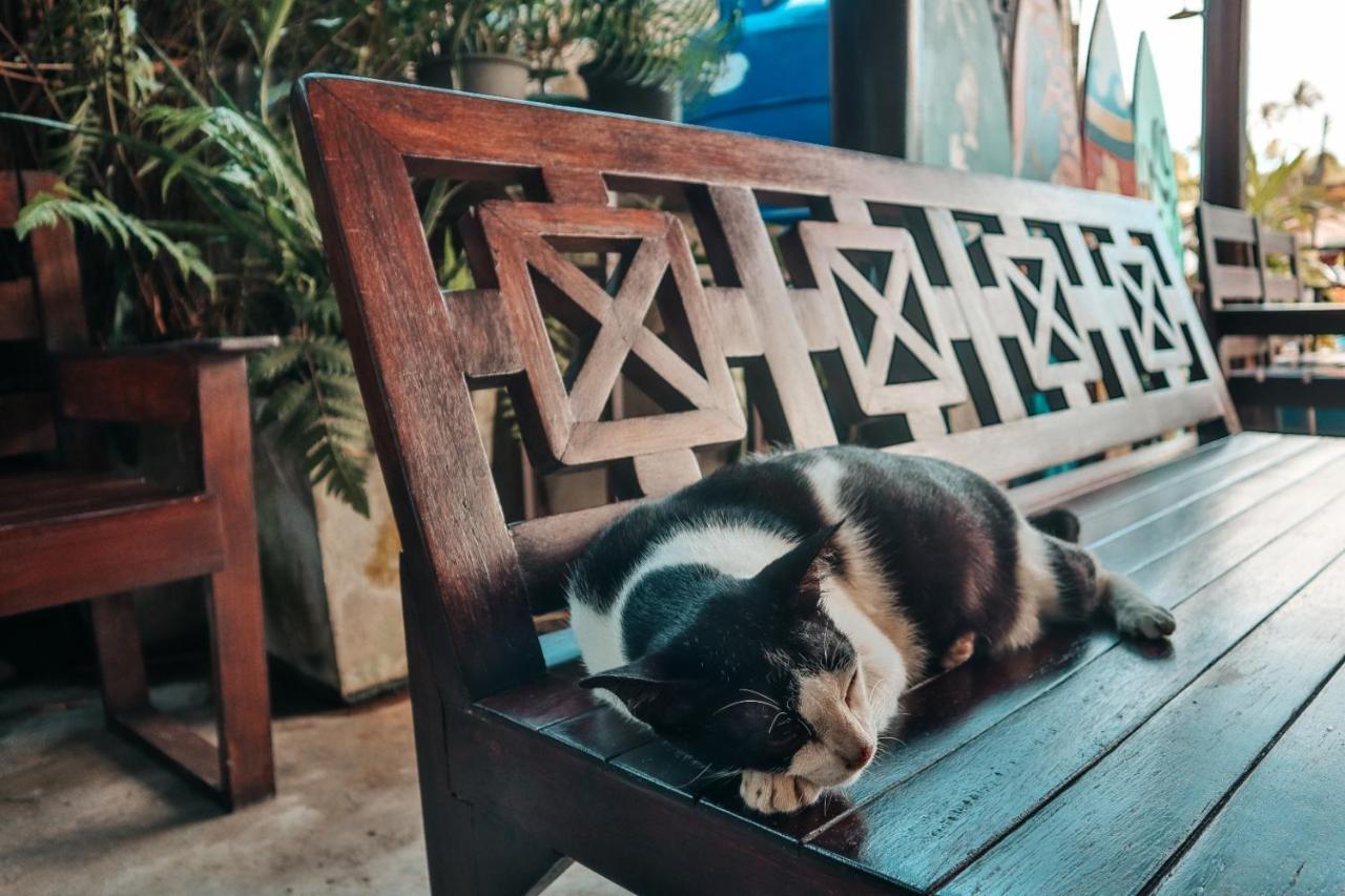 Baan Rabieng Talay Homestay: Tranquil Koh Kood Seaside Retreat Ko Kut Exterior photo